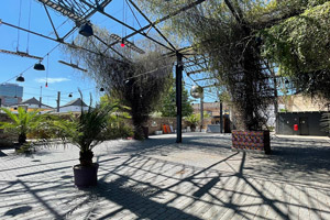 maaya_backyard_berlin