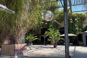 maaya_backyard_berlin